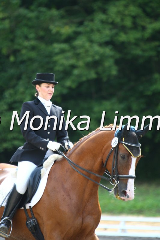 009M2647_Da Caprio_Dressur Mxx.JPG